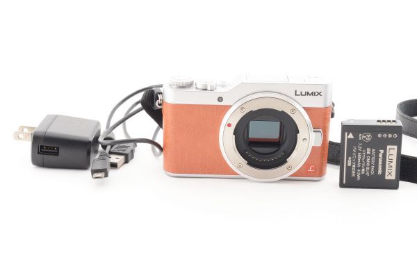 日本最大の #b869☆美品☆ Panasonic パナソニック LUMIX DC-GF9