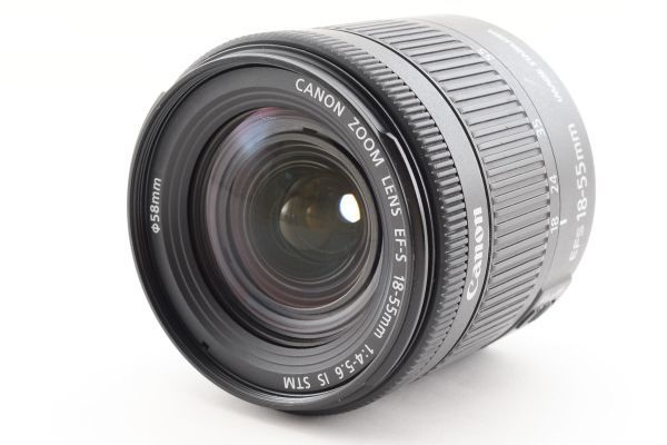 素敵でユニークな EF-S キャノン Canon #c502☆美品☆ 18-55mm STM IS