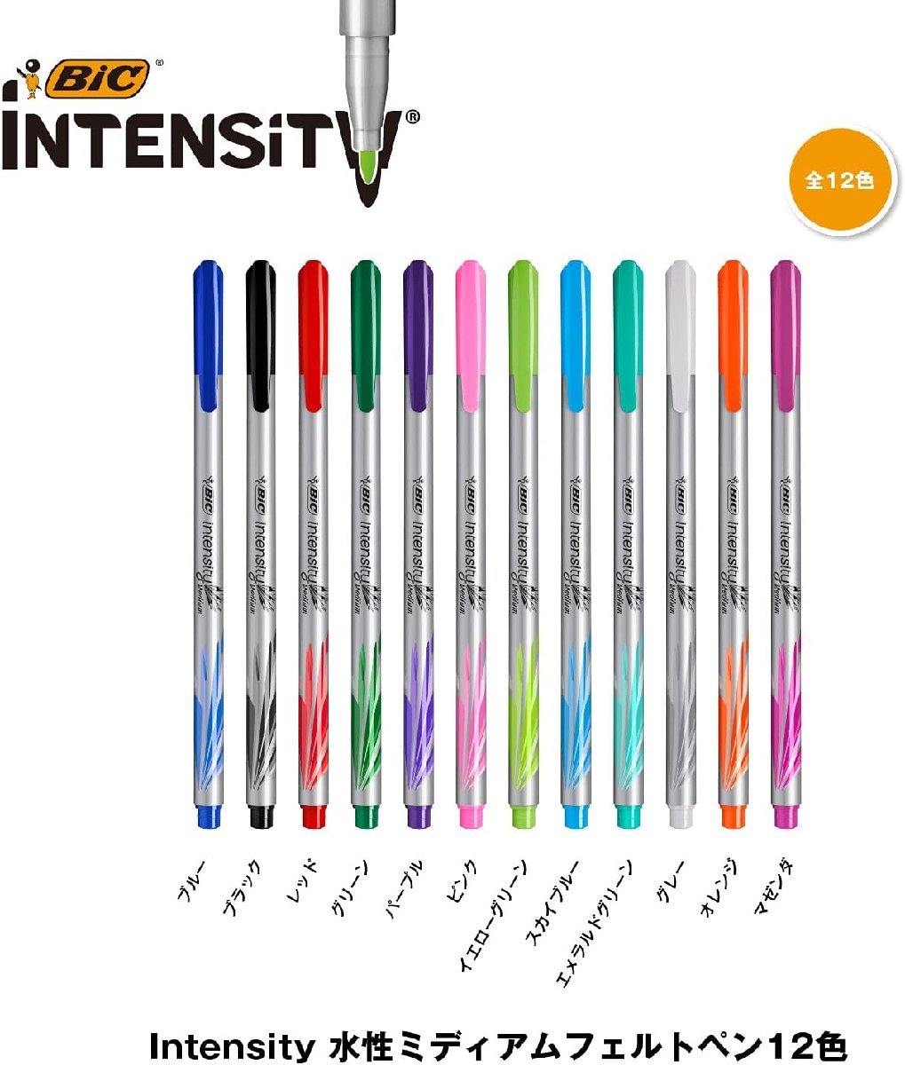水性ペン フェルトペン 0.8mm 中字 12色 BIC ビック Intensity インテンシティ ITS-FEPMDPK12/1356ｘ３個セット/卸/送料無料メール便_画像2