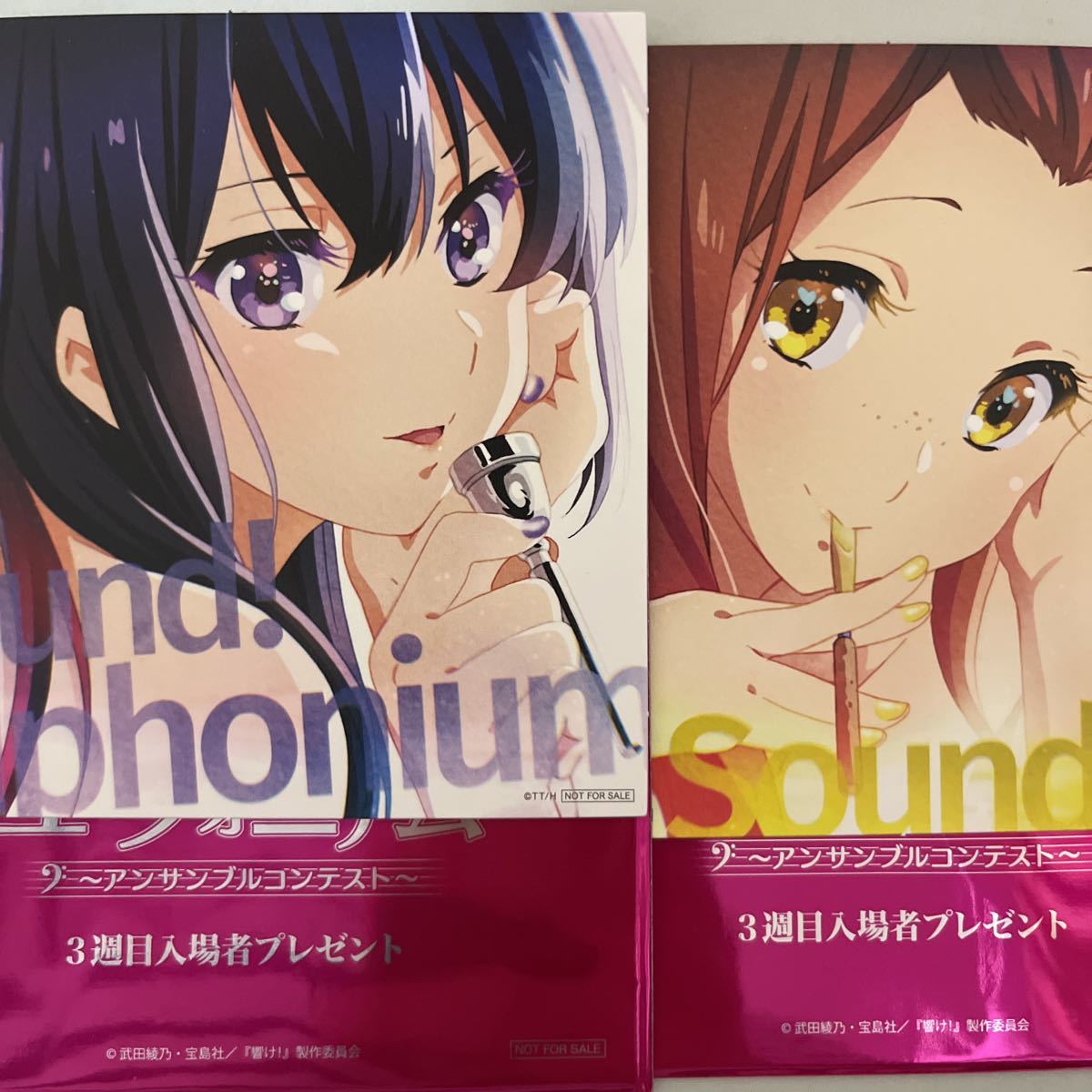 特別編 響け ユーフォニアム 3週目 入場者特典 高坂麗奈 剣崎 特別編 響け ユーフォニアム 3週目 入場者特典 高坂麗奈 剣崎