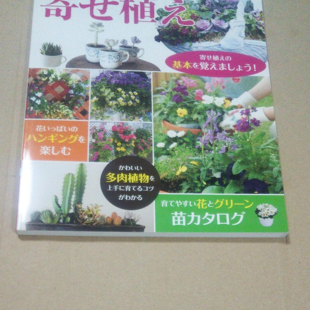 花とグリーン多肉植物の寄せ植え