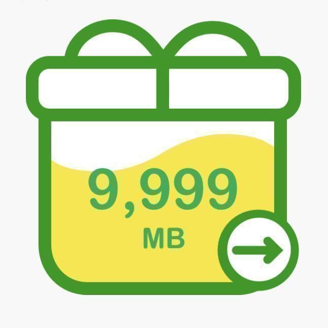 mineo パケットギフト 約30GB 9999MB×3_画像1