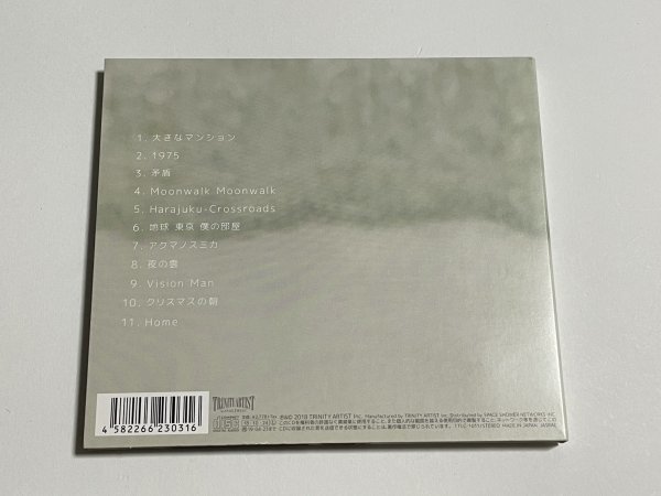 CD 和田唱『地球 東京 僕の部屋』(TRICERATOPS トライセラトップス)_画像2