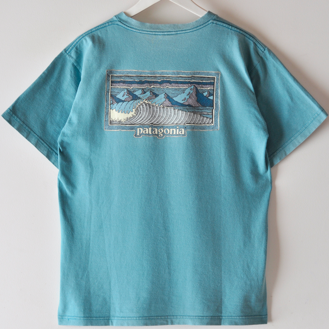 希少柄 90s patagonia パタゴニア オーガニックコットン 半袖 Tシャツ 両面プリント ターコイズブルー USA製 / ヴィンテージ アメカジ