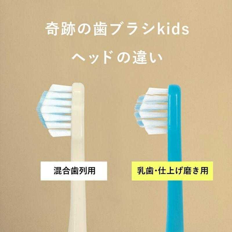 再入荷★正規品 奇跡の歯ブラシ kids 混合歯列 子供用3本セット ホワイト 高学年_画像3