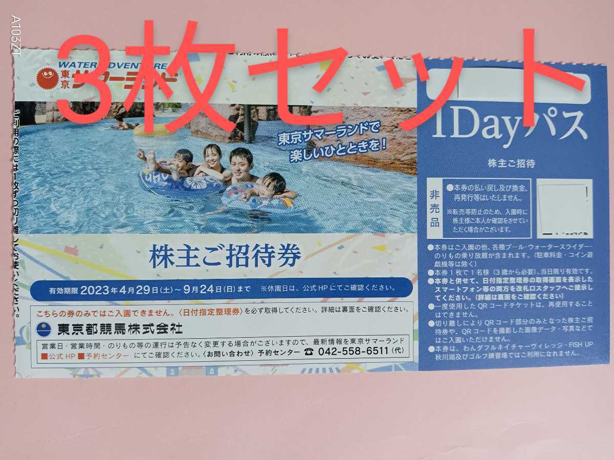 即決あり)翌日着可☆東京サマーランド 1Dayパス 3枚セット 株主優待券