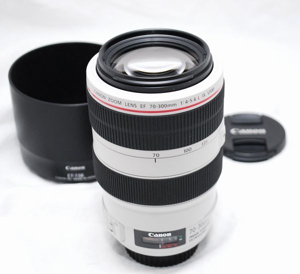 新品同様の超美品・純正フード付き】Canon キヤノンEF 70-300mm F4-5.6