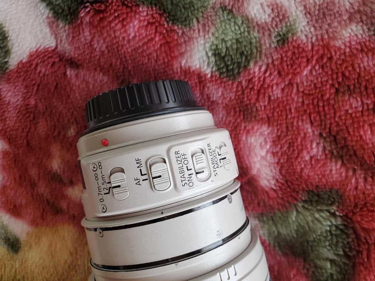 Canon キヤノン EF28-300mm F3.5-5.6L IS USM_画像8