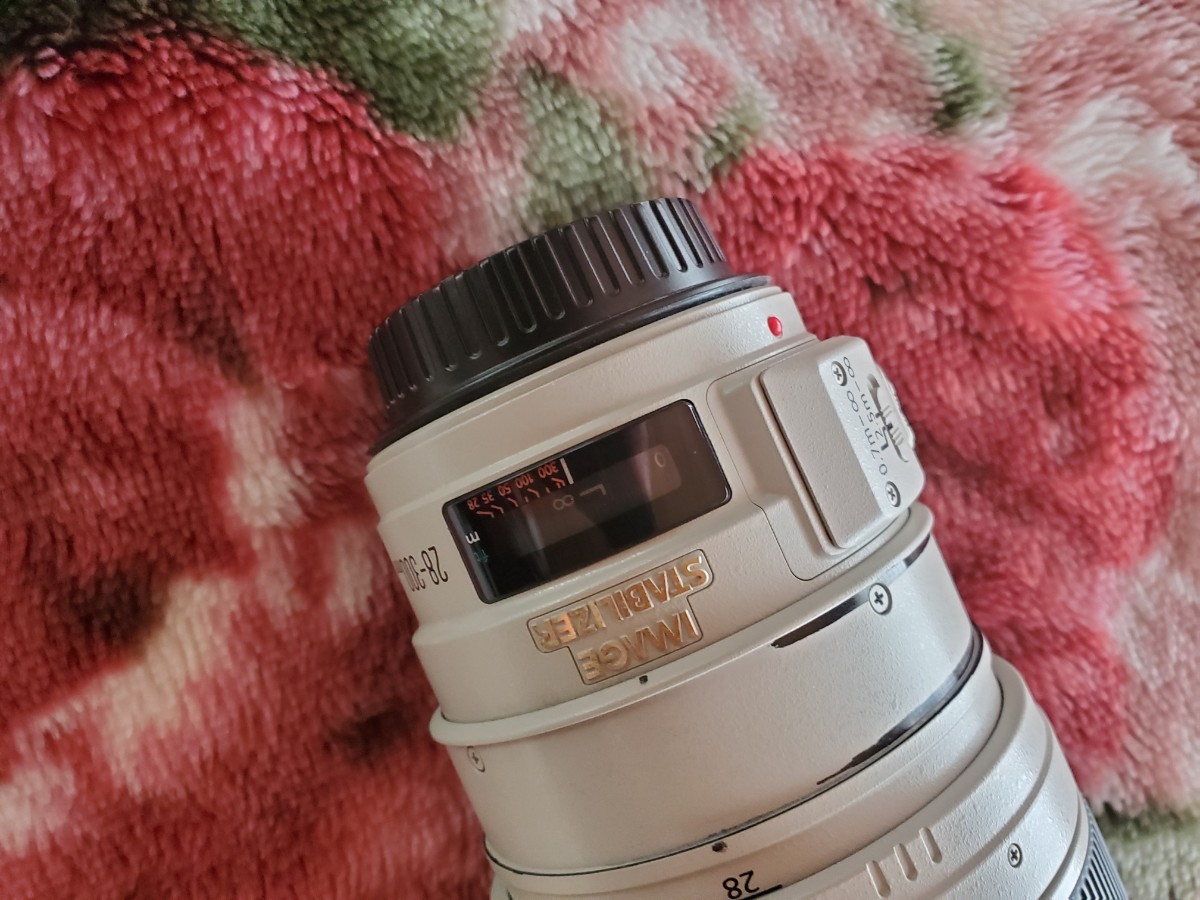 Canon キヤノン EF28-300mm F3.5-5.6L IS USM_画像9