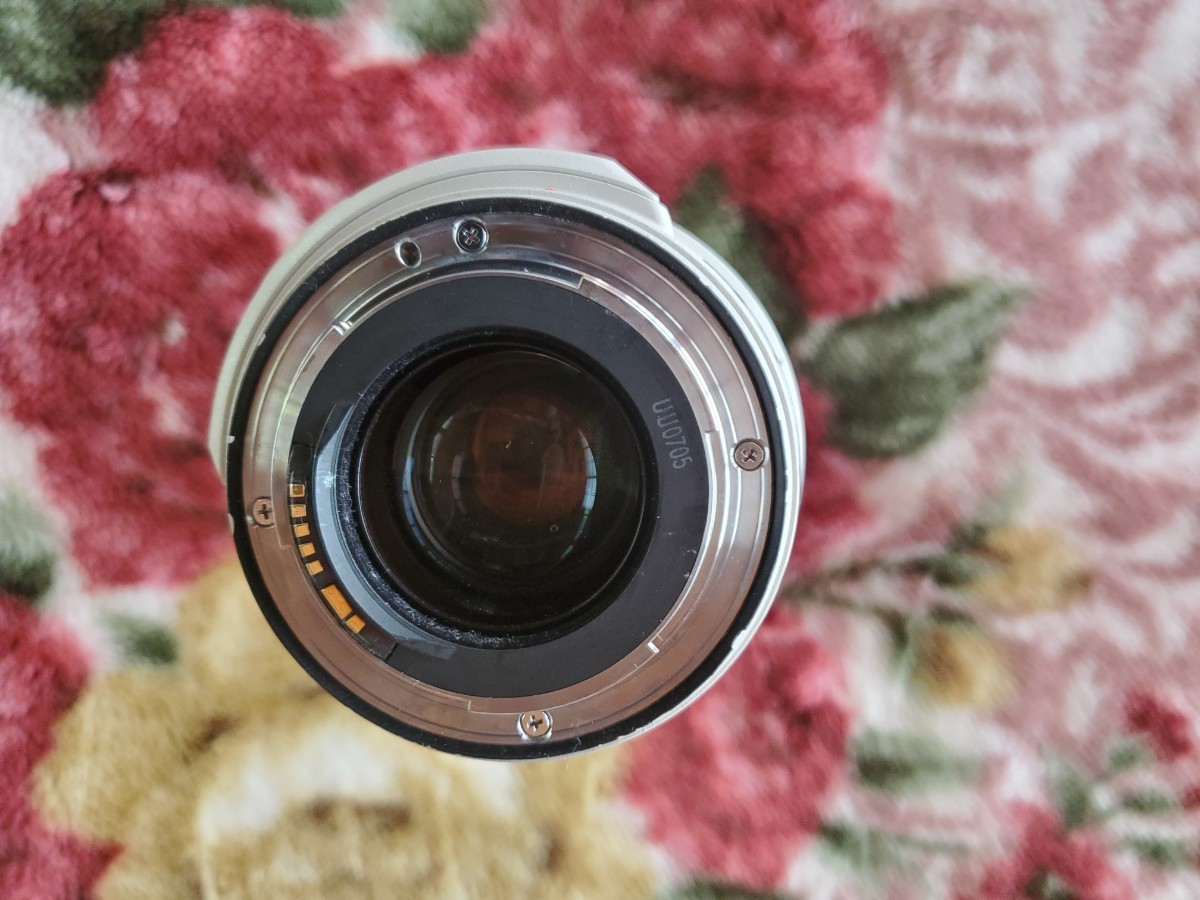 Canon キヤノン EF28-300mm F3.5-5.6L IS USM_画像5
