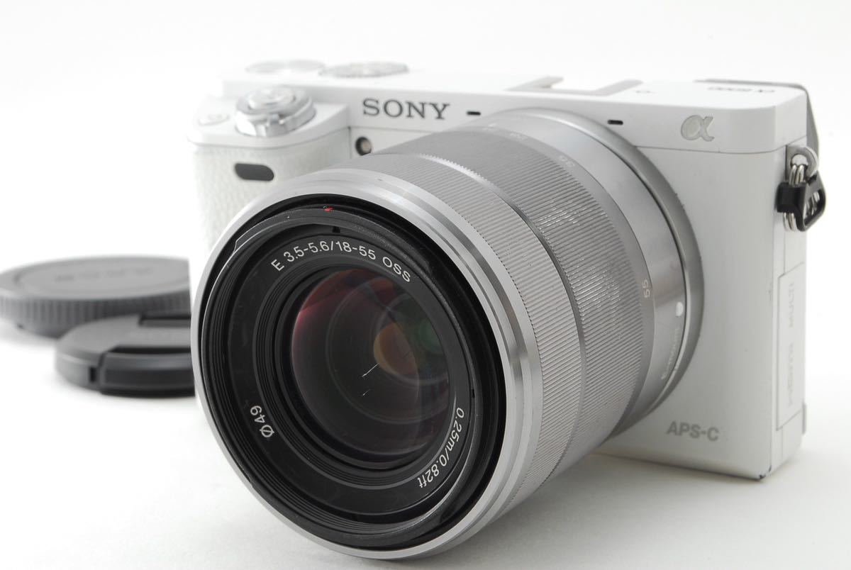 人気が高い SONY 美品 ソニー SDカード、おまけ付き E18-55mm レンズ