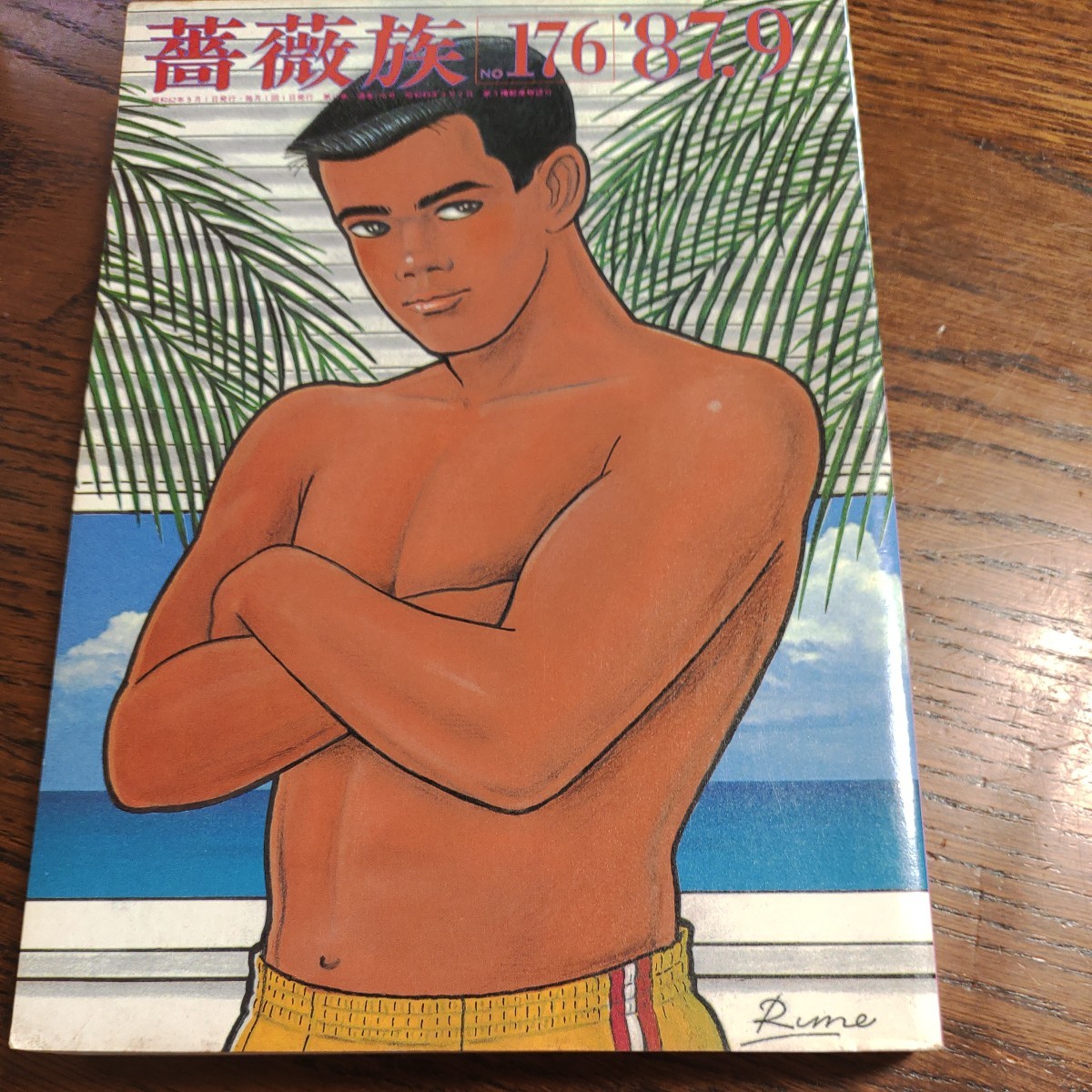 薔薇族 送料無料 匿名配送 1987年9月号 ごきげん曜 山口正児 の商品