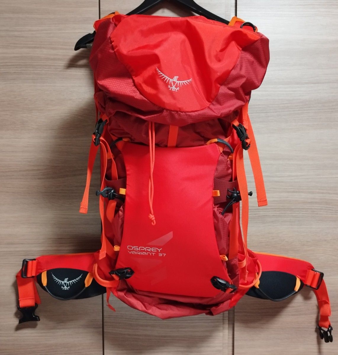 オスプレイ バリアント 37 OSPREY VARIANT 冬山 リュック