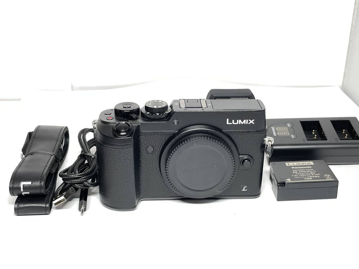 人気のクリスマスアイテムがいっぱい！ 極上品 パナソニック LUMIX DMC