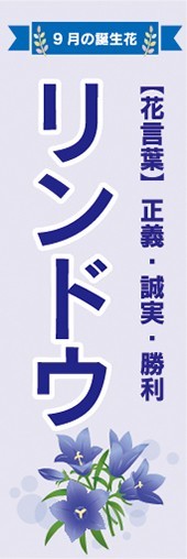 のぼり　リンドウ　9月の誕生花　お花　イベント　のぼり旗_画像1