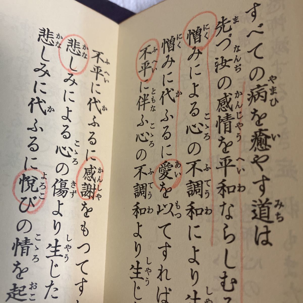 e846-60 聖経 甘露の法雨 続々甘露の法雨 2冊 まとめて 生長の家 e846-60 聖経 甘露の法雨 続々甘露の法雨 2冊 まとめて 生長の家