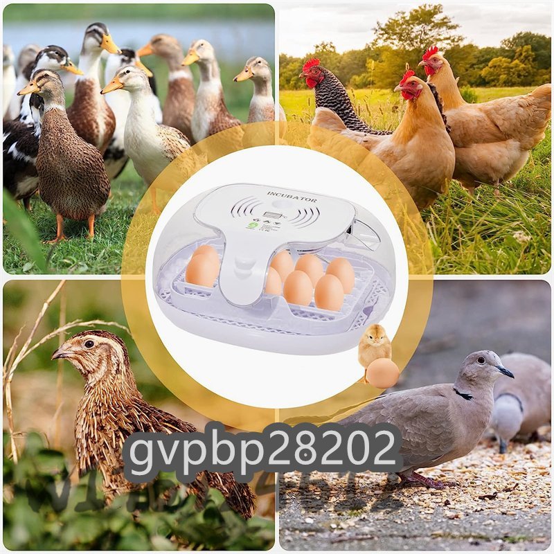  new goods appearance * in kyu Beta -16 piece insertion egg automatic . egg vessel high capacity inspection egg light attaching digital display automatic temperature system humidity guarantee .. egg vessel .. proportion up low noise 