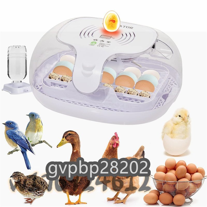  new goods appearance * in kyu Beta -16 piece insertion egg automatic . egg vessel high capacity inspection egg light attaching digital display automatic temperature system humidity guarantee .. egg vessel .. proportion up low noise 