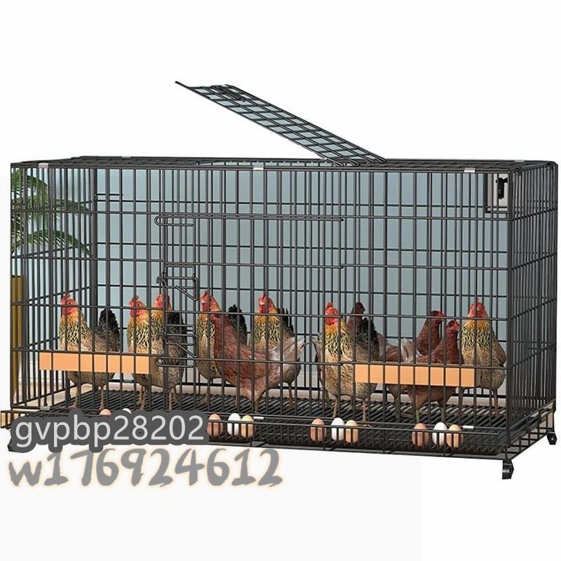  practical goods * chicken for cage breeding cage therefore. tray . egg tray attaching 4-6 chicken large chicken small shop chicken small shop house . cage outdoor home use breeding 100x60x70 cm