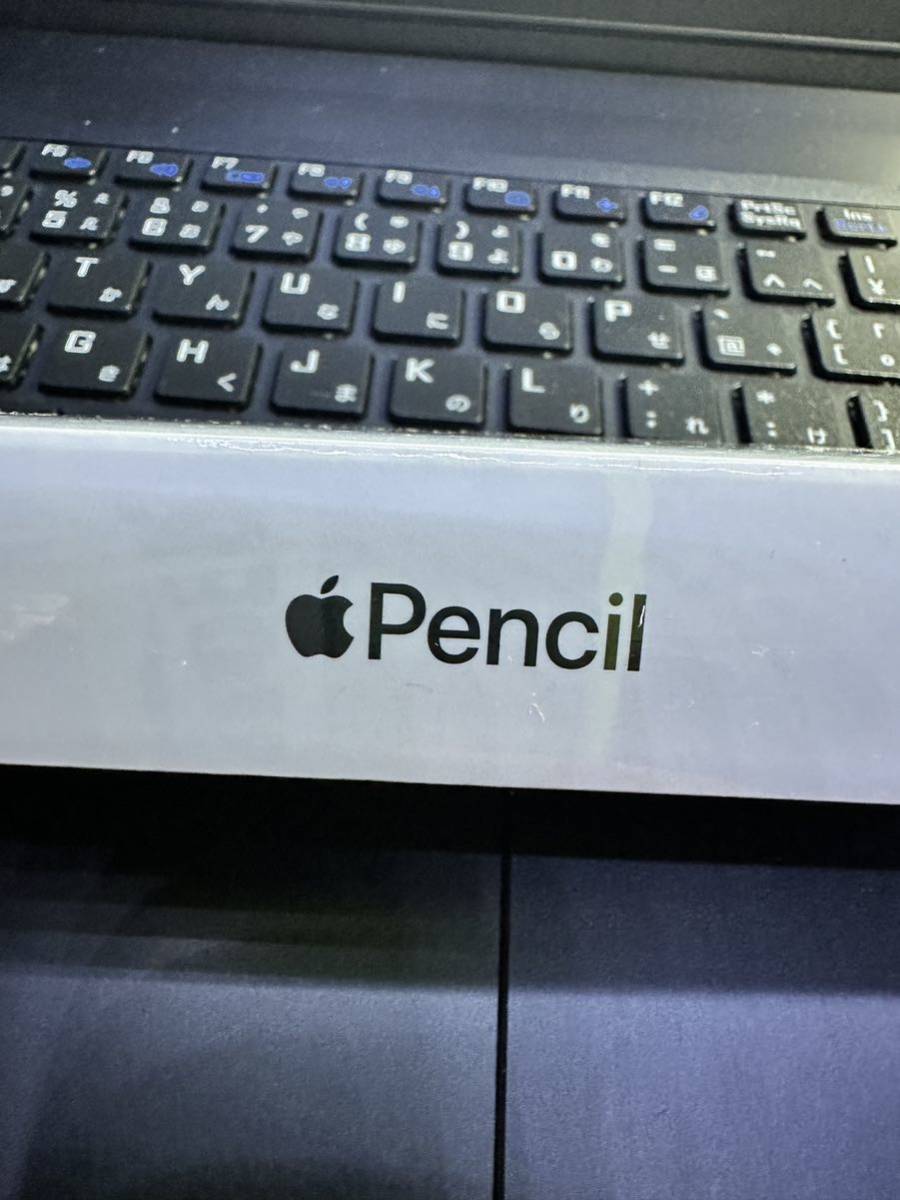 未開封新品 アップルペンシル Apple Pencil 第2世代 激安通販サイト 50