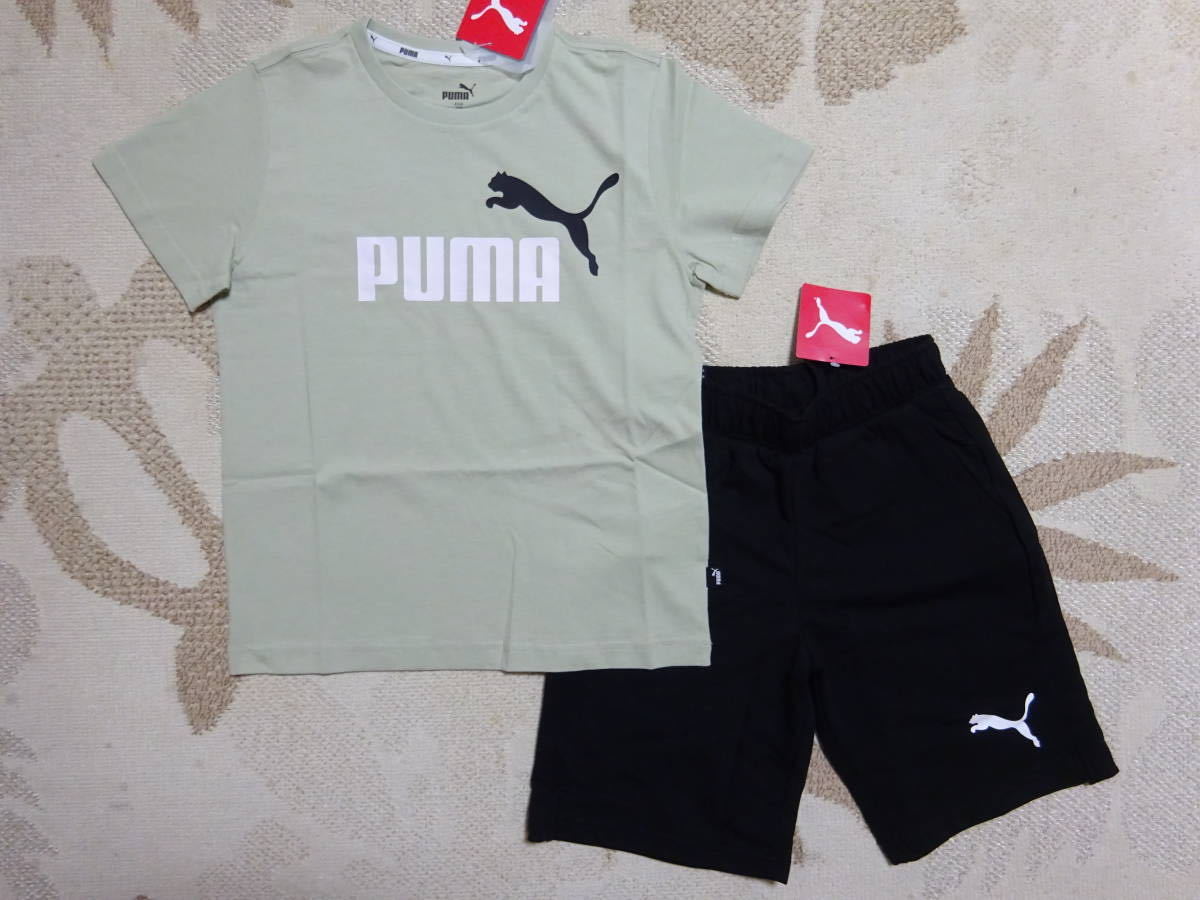  включая доставку!!* новый товар *PUMA Puma *140* популярный 2 цвет Logo футболка ( светло-зеленый )* шорты ( черный )* верх и низ * быстрое решение 