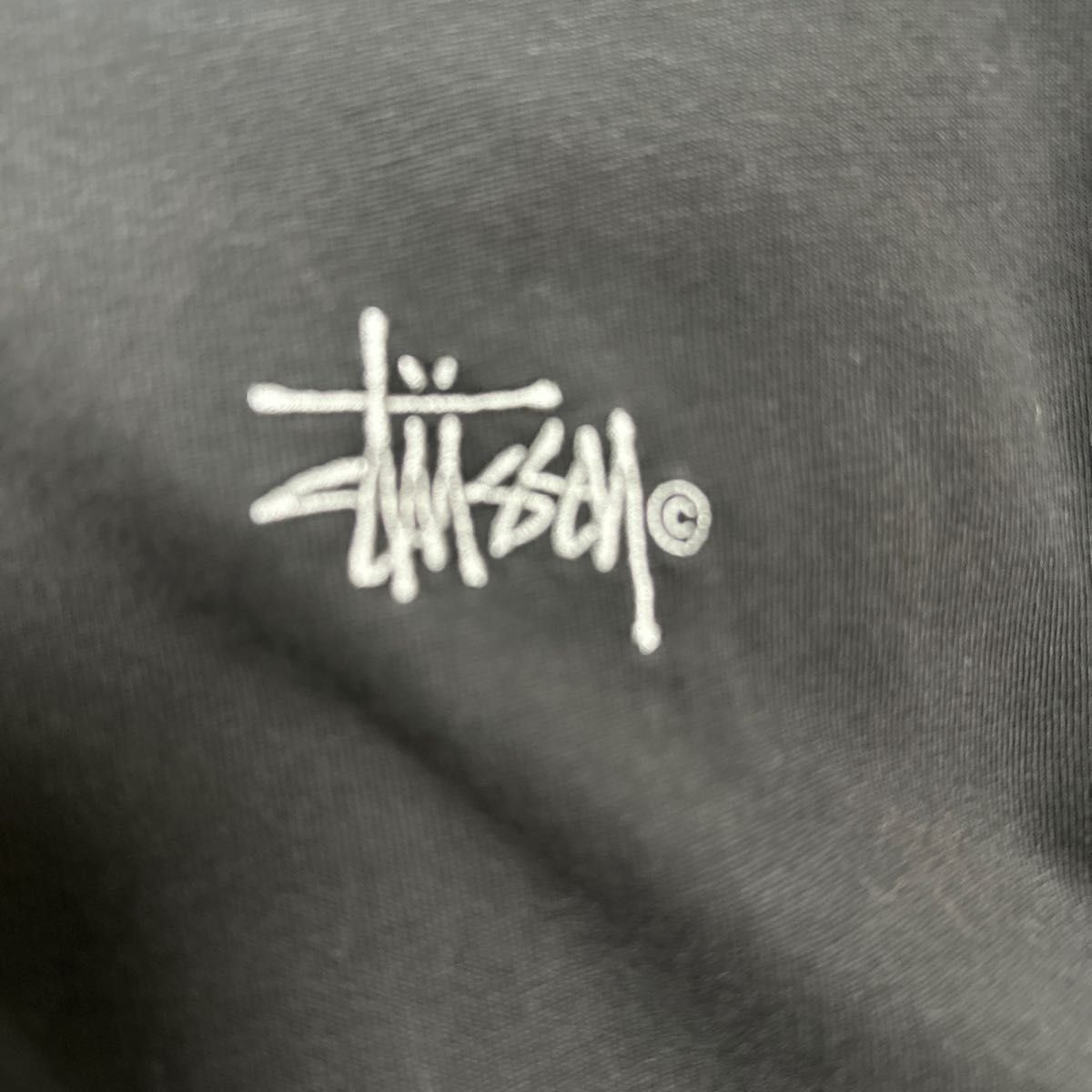 希少 ステューシー ワンポイント 刺繍ロゴ ロングTシャツ ロンT 長袖 黒 M