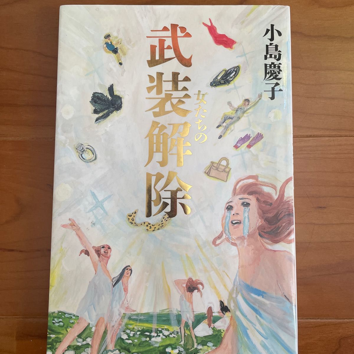 女たちの武装解除 （ＶＥＲＹ　ＢＯＯＫＳ） 小島慶子／〔著〕