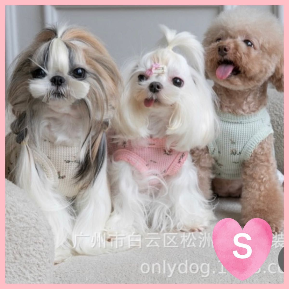 人気　お買い得　犬服 ペット服 ドッグウェア 猫服 犬猫 可愛い画像 おしゃれ　小型犬　ペット服　アイボリー　Sサイズ　韓国