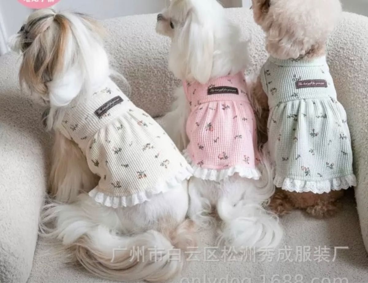 人気　お買い得　犬服 ペット服 ドッグウェア 猫服 犬猫 可愛い画像 おしゃれ　小型犬　ペット服　アイボリー　Sサイズ　韓国