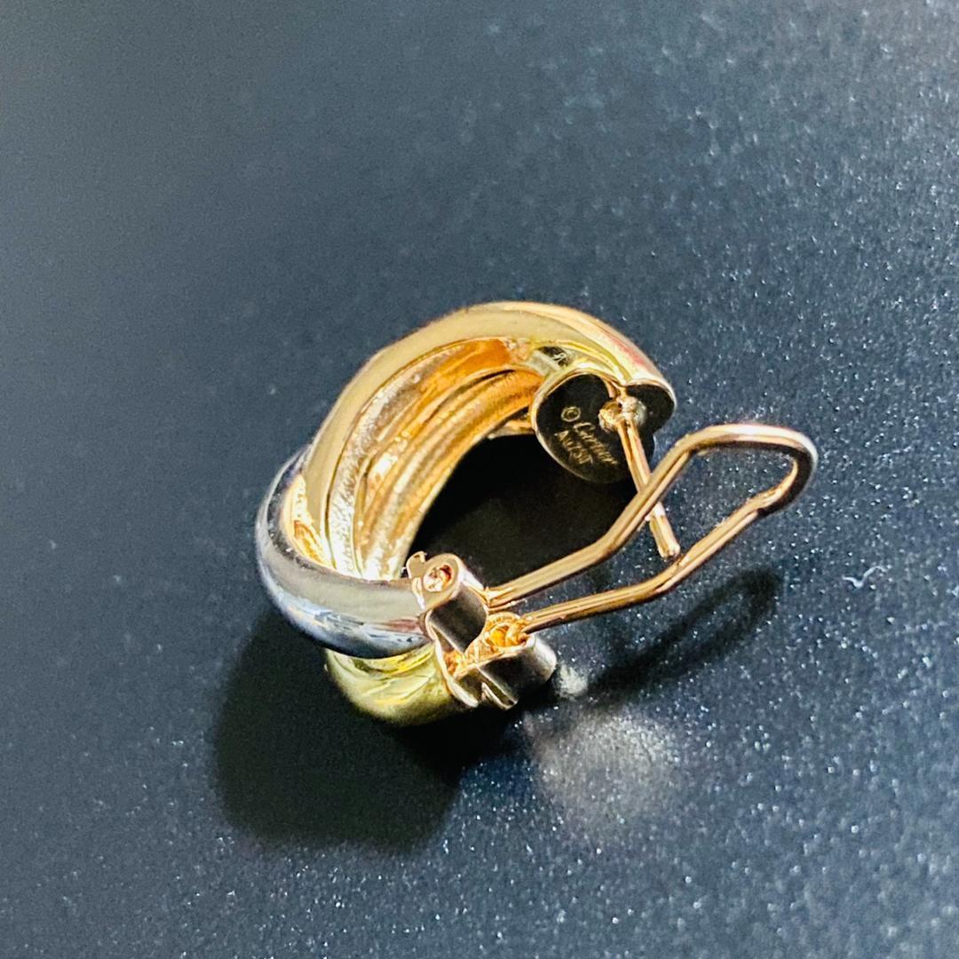 限定】登坂広臣さん 着用 ピアス リング 高級感 ケース付き 限定】登坂広臣さん 着用 ピアス リング 高級感 ケース付き