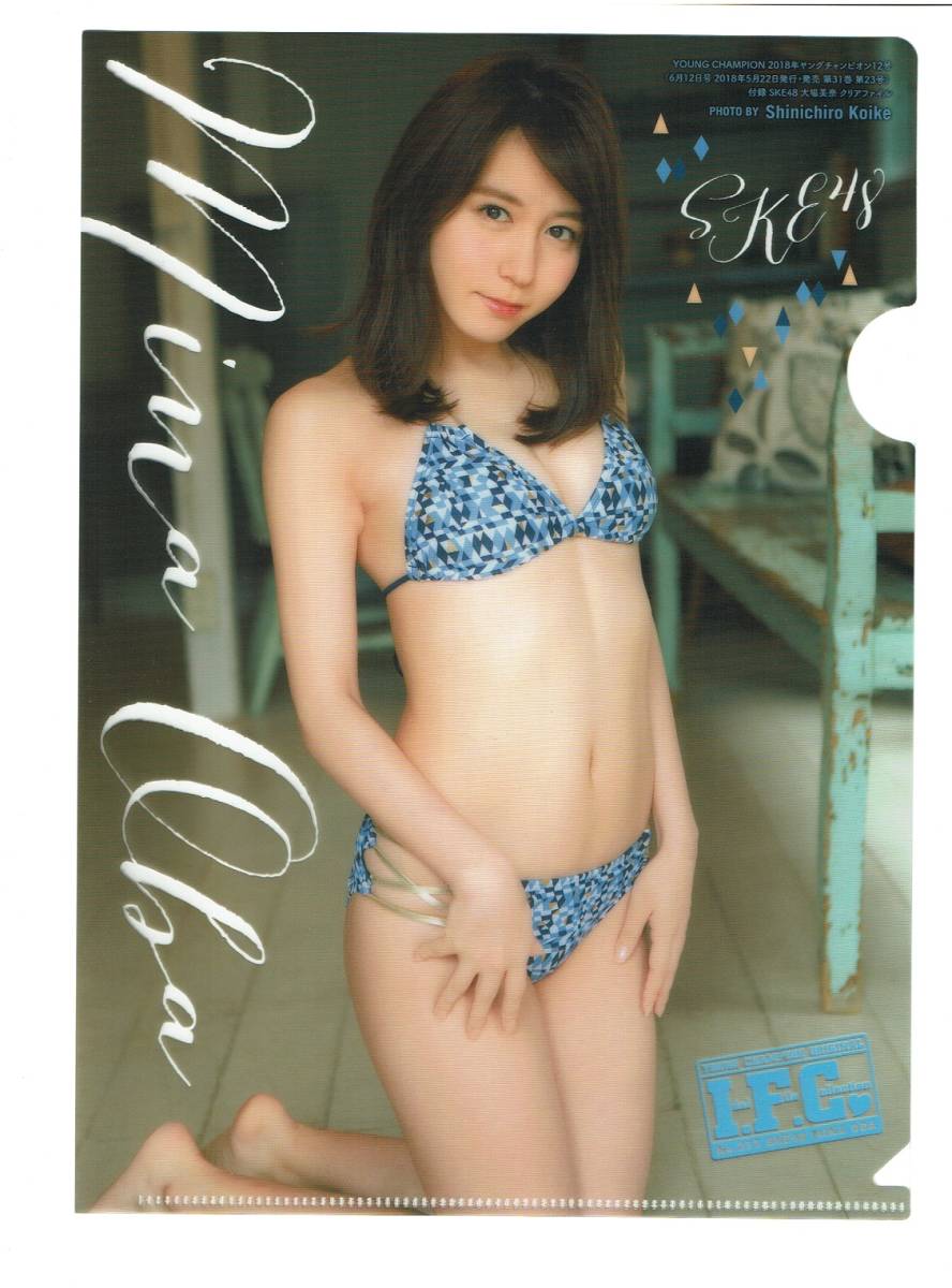  Young Champion appendix SKE48 large place beautiful . clear file 277