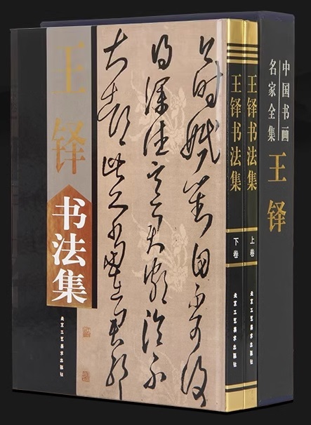 魅了 9787805265490 王鐸書法集 上下2冊 中国書画名家全集 中国語字典