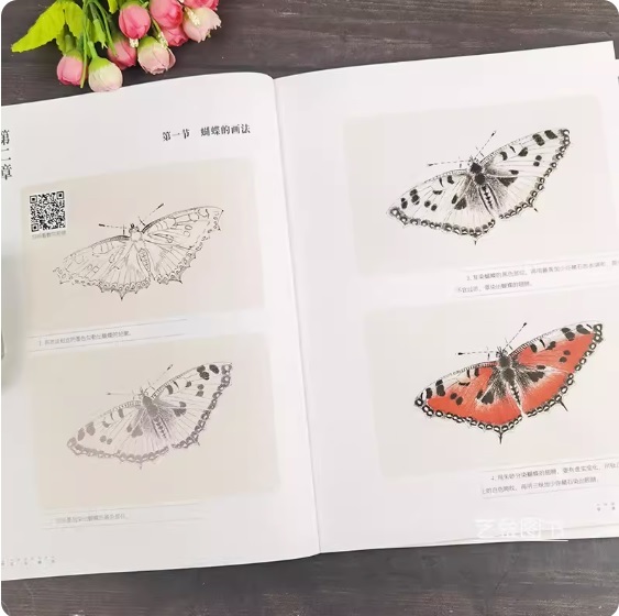 9787539898056　草虫の描き方　中国画技法テキスト　動画で描き方を学べます　案頭必備　中国語書籍_画像2