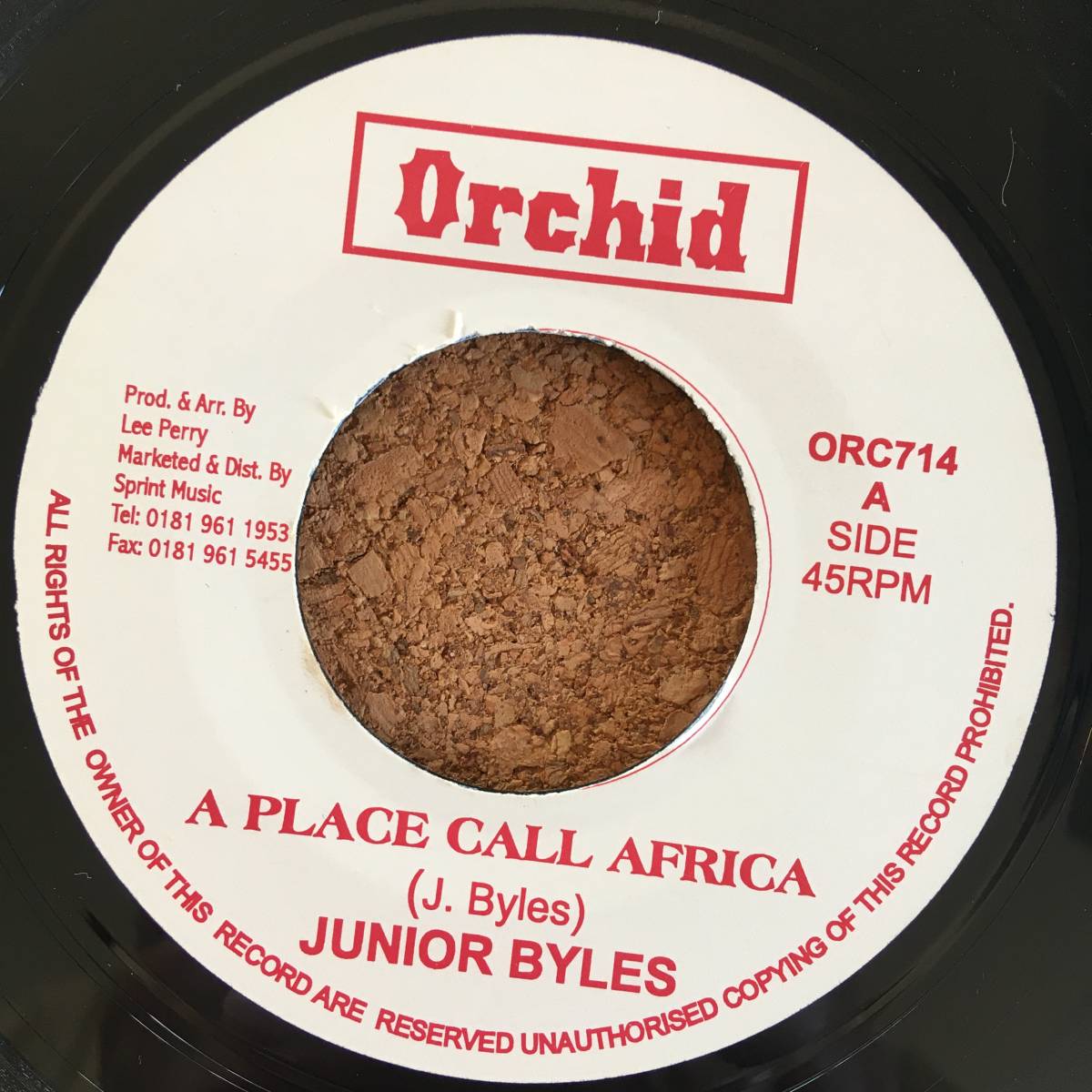 Junior Byles / A Place Call Africa [Orchid - ORC 714]の画像1
