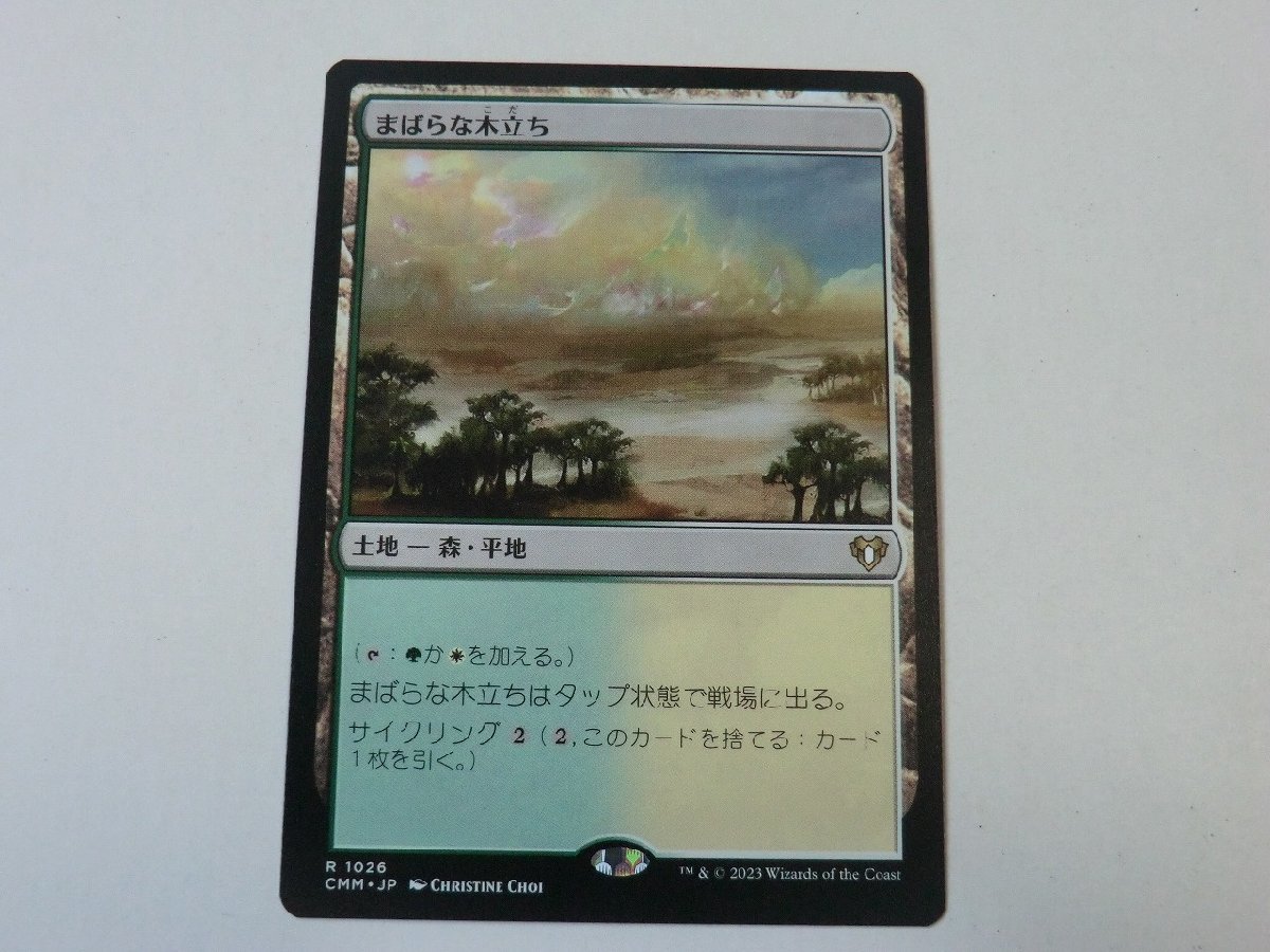 MTG 美品 【まばらな木立ち】 （レア） 統率者マスターズ CMM 日 4枚迄_画像1