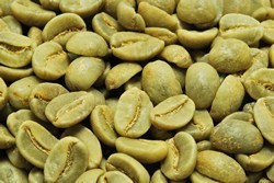 【１０㎏】コーヒー生豆 ブルーマウンテンNo.1 ウォーレンフォード プレミアム 送料無料_画像1