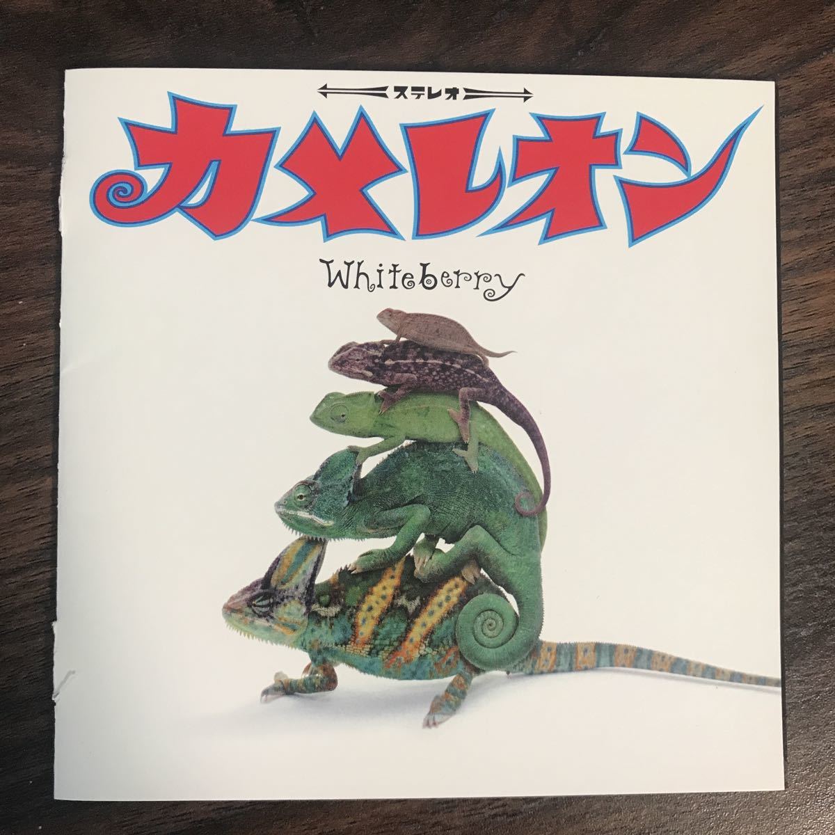 (414)中古CD100円 ホワイトベリー　カメレオン_画像1