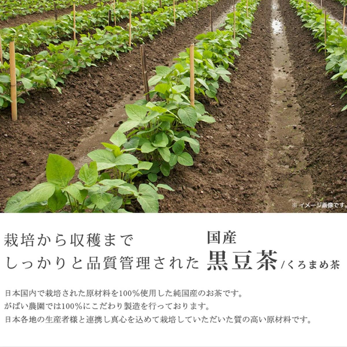 がばい農園 国産 黒豆茶 5g×40包 ティーパック 無添加 ノンカフェイン 健康茶 北海道産_画像2