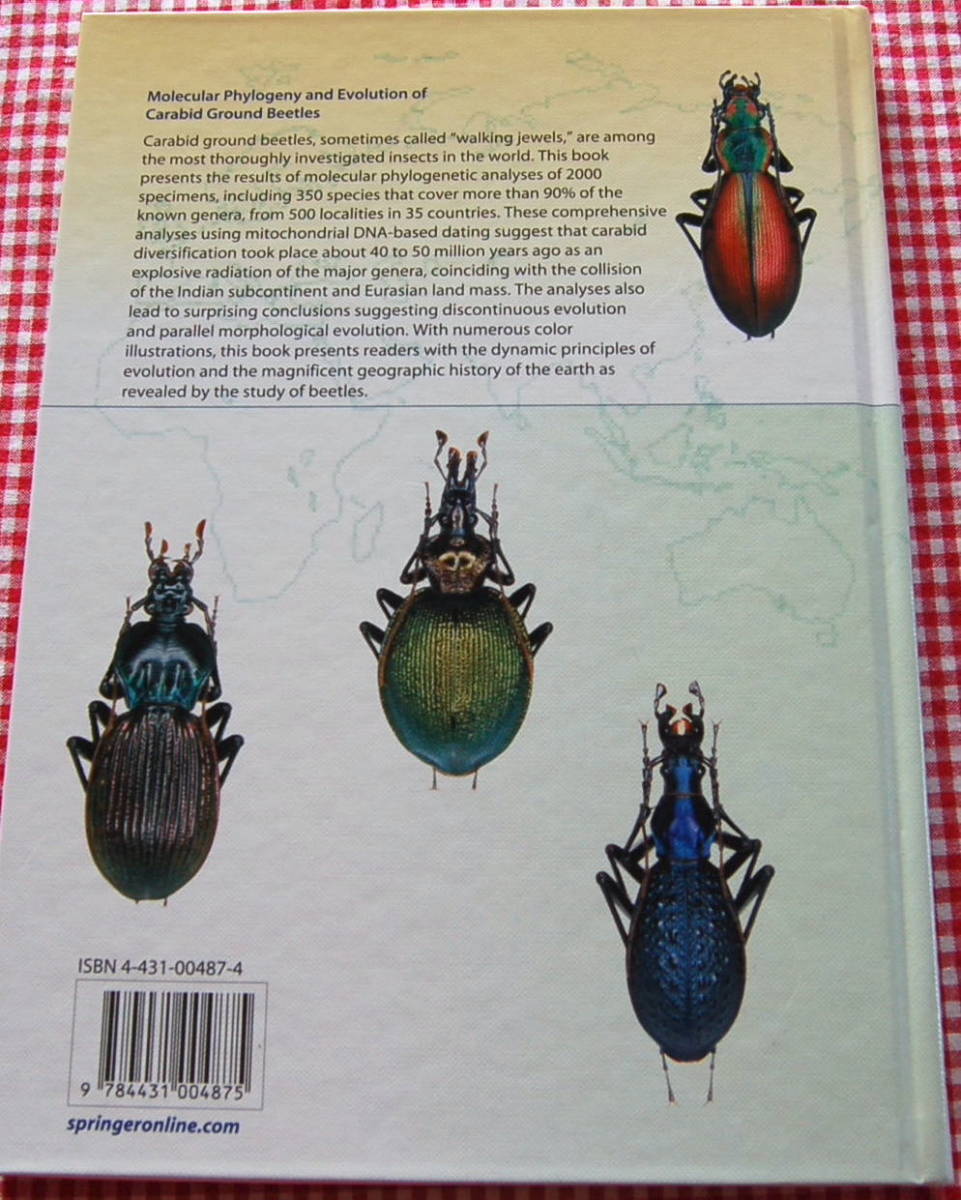 【送料無料】大澤省三 オサムシの系統と進化【Molecular Phylogeny and Evolution of Carabid Ground Beetles】中古美品_画像2