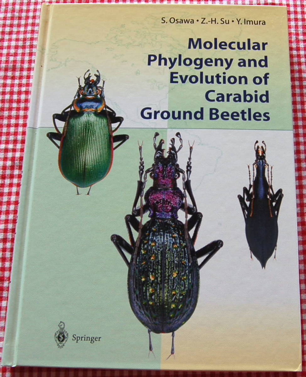 【送料無料】大澤省三 オサムシの系統と進化【Molecular Phylogeny and Evolution of Carabid Ground Beetles】中古美品_画像1