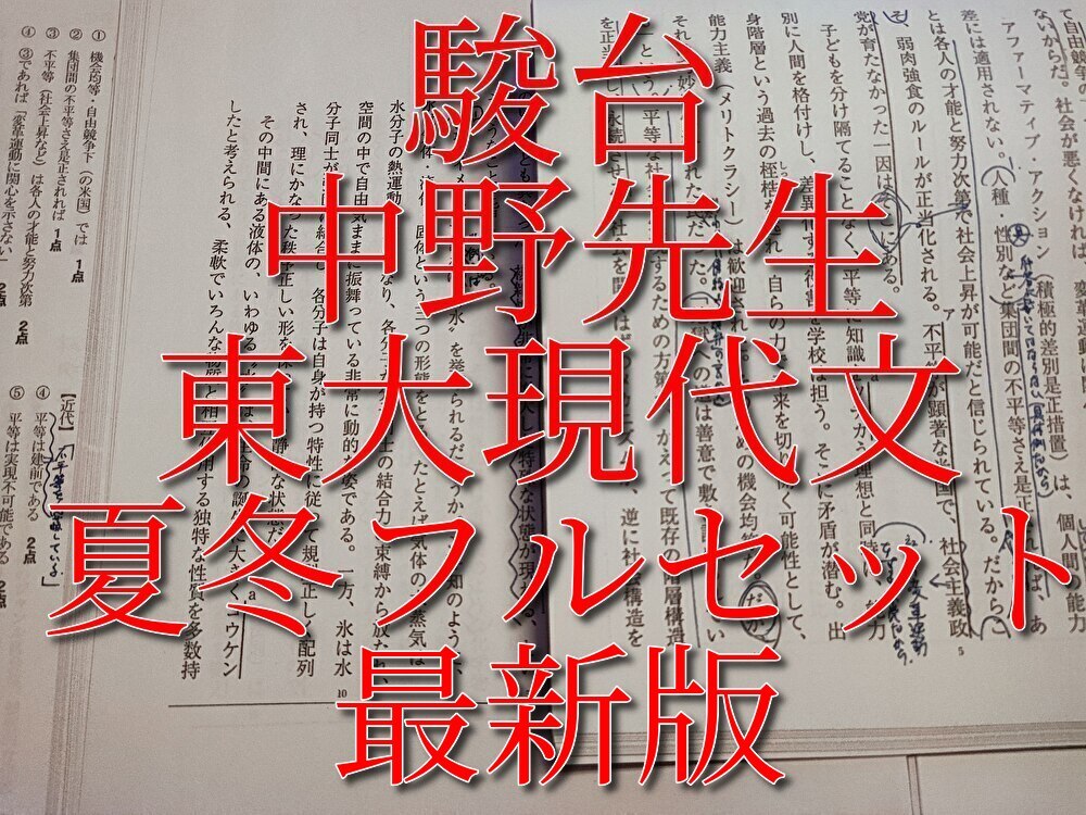 駿台　中野芳樹先生　年夏期・冬期　東大現代文　板書・問題・プリント　フルセット　最上位SSクラス　河合塾　鉄緑会　Z会　東進