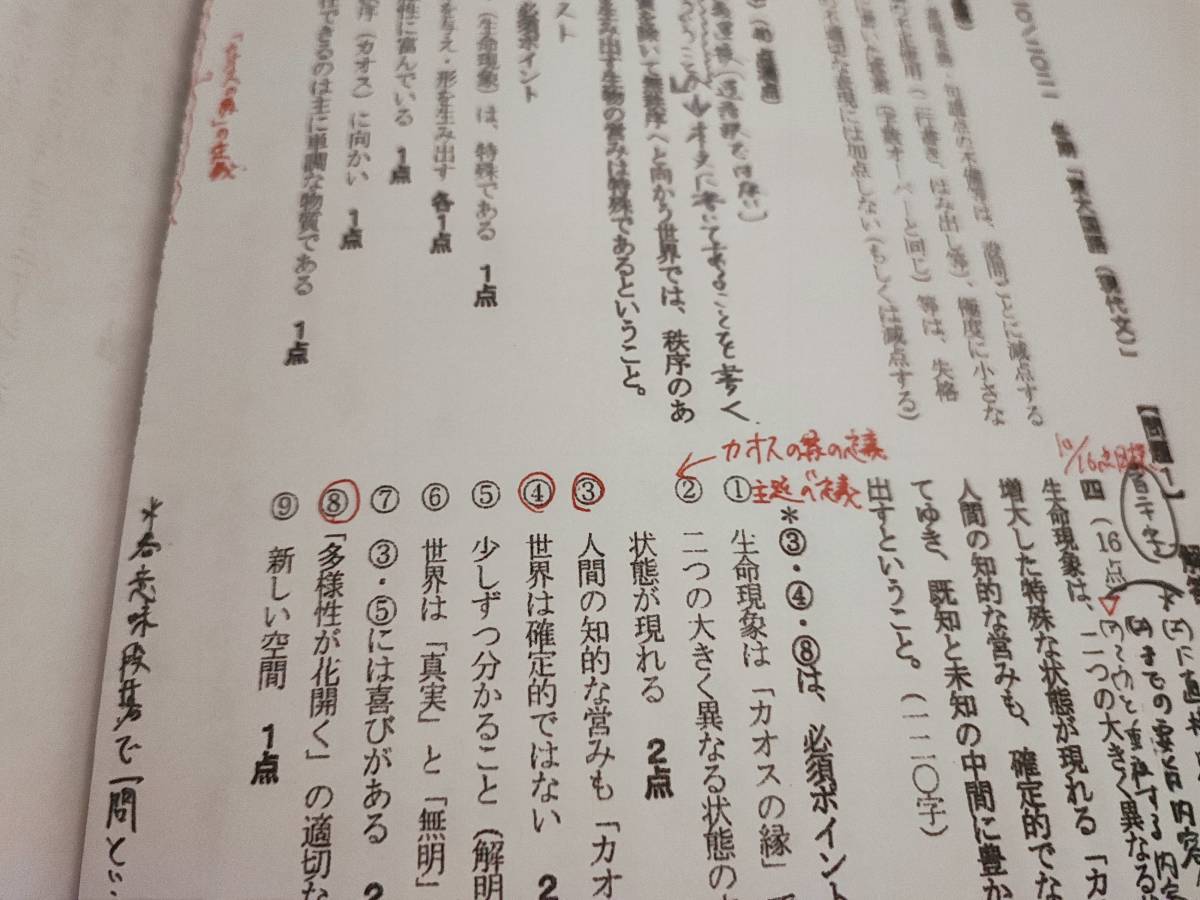 駿台　中野芳樹先生　20年夏期・冬期　東大現代文　板書・問題・プリント　フルセット　最上位SSクラス　河合塾　鉄緑会　Z会　東進 　SEG