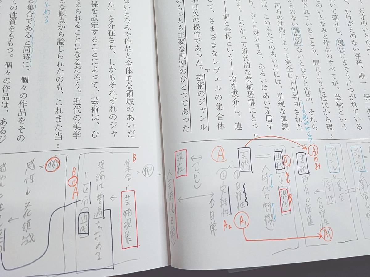 駿台　夏期・冬期　東大現代文　無記入テキスト・板書込みテキスト　フルセット　鉄緑会　河合塾　東進　SEG