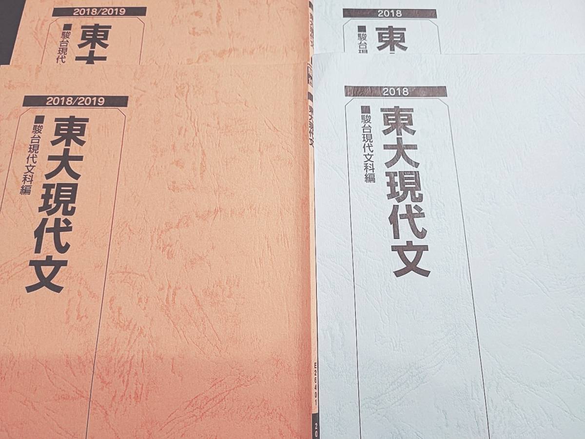 売上実績NO.1 駿台 夏期・冬期 東大現代文 無記入テキスト・板書込み