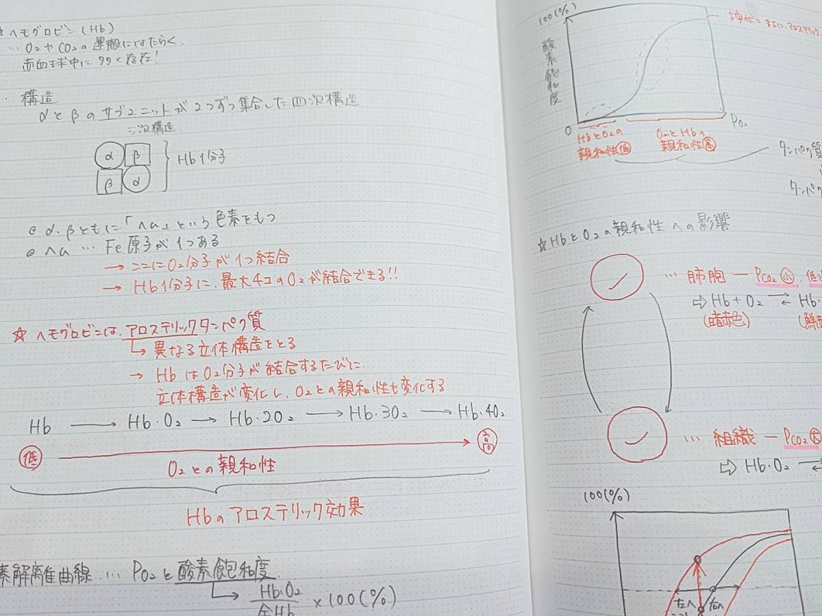 駿台 市谷校舎 医学部上位クラス 生物S Part1・2 テキスト・板書 駿台 市谷校舎 医学部上位クラス 生物S Part1・2 テキスト・板書