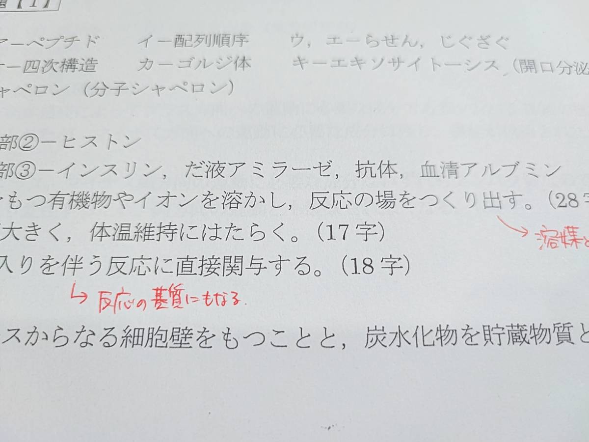 駿台 市谷校舎 医学部上位クラス 生物S Part1・2 テキスト・板書 駿台 市谷校舎 医学部上位クラス 生物S Part1・2 テキスト・板書