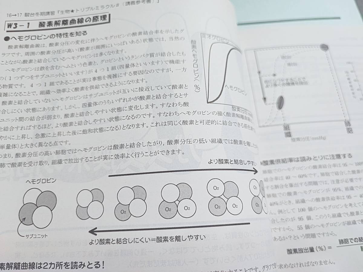 駿台 朝霞先生 締切 冬期 生物 トリプルミラクル# テキスト 駿台 朝霞先生 締切 冬期 生物 トリプルミラクル# テキスト