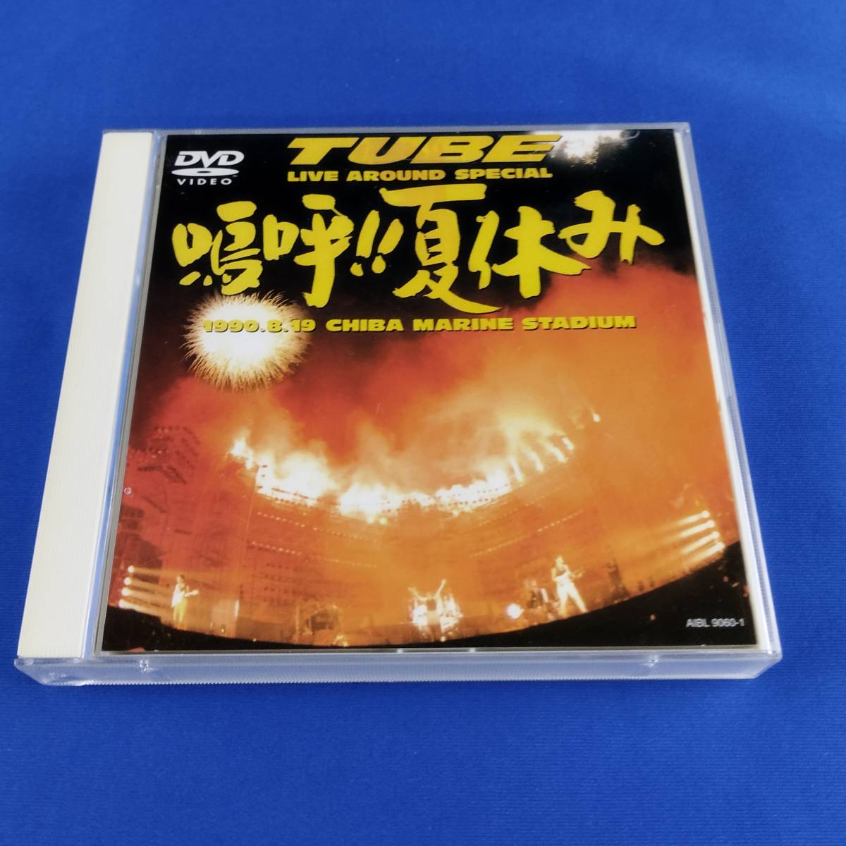 1SD1 DVD TUBE 嗚呼!!夏休みの画像1