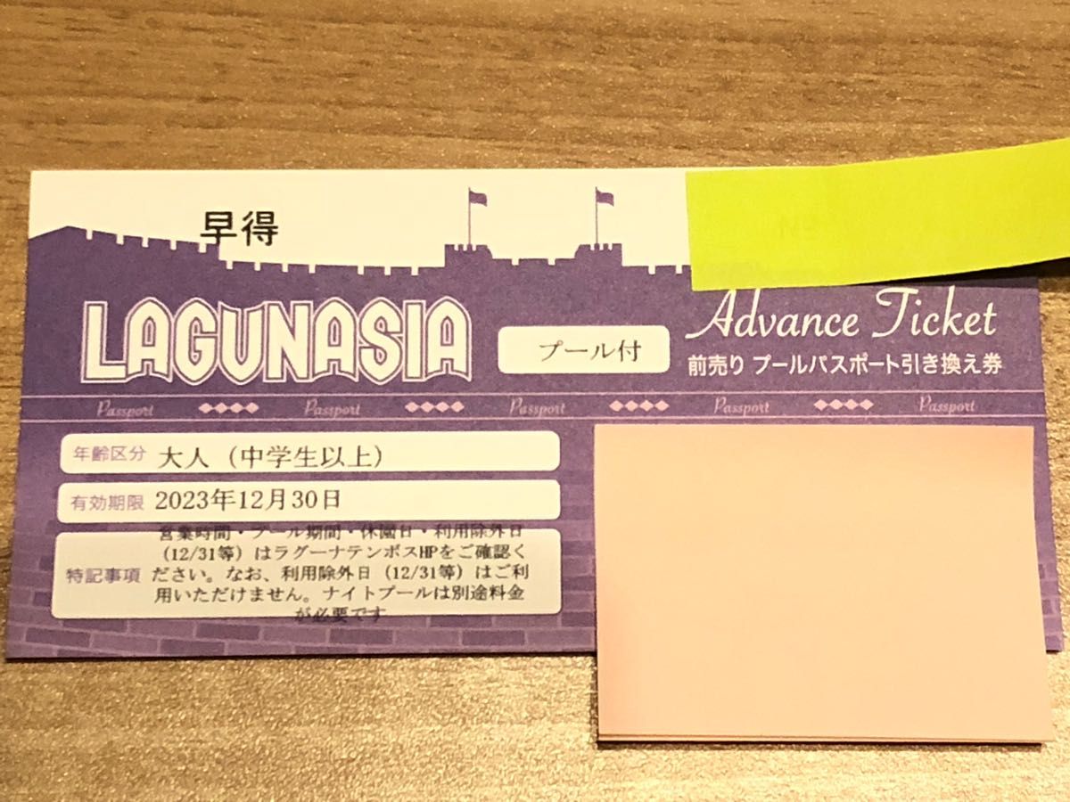 ラグナシア プール パスポート 大人 2枚 入園券 チケット ラグーナ