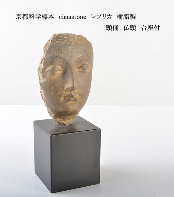 京都科学標本 cimastone レプリカ 樹脂製 頭俑 仏頭 台座付 COIY(仏像